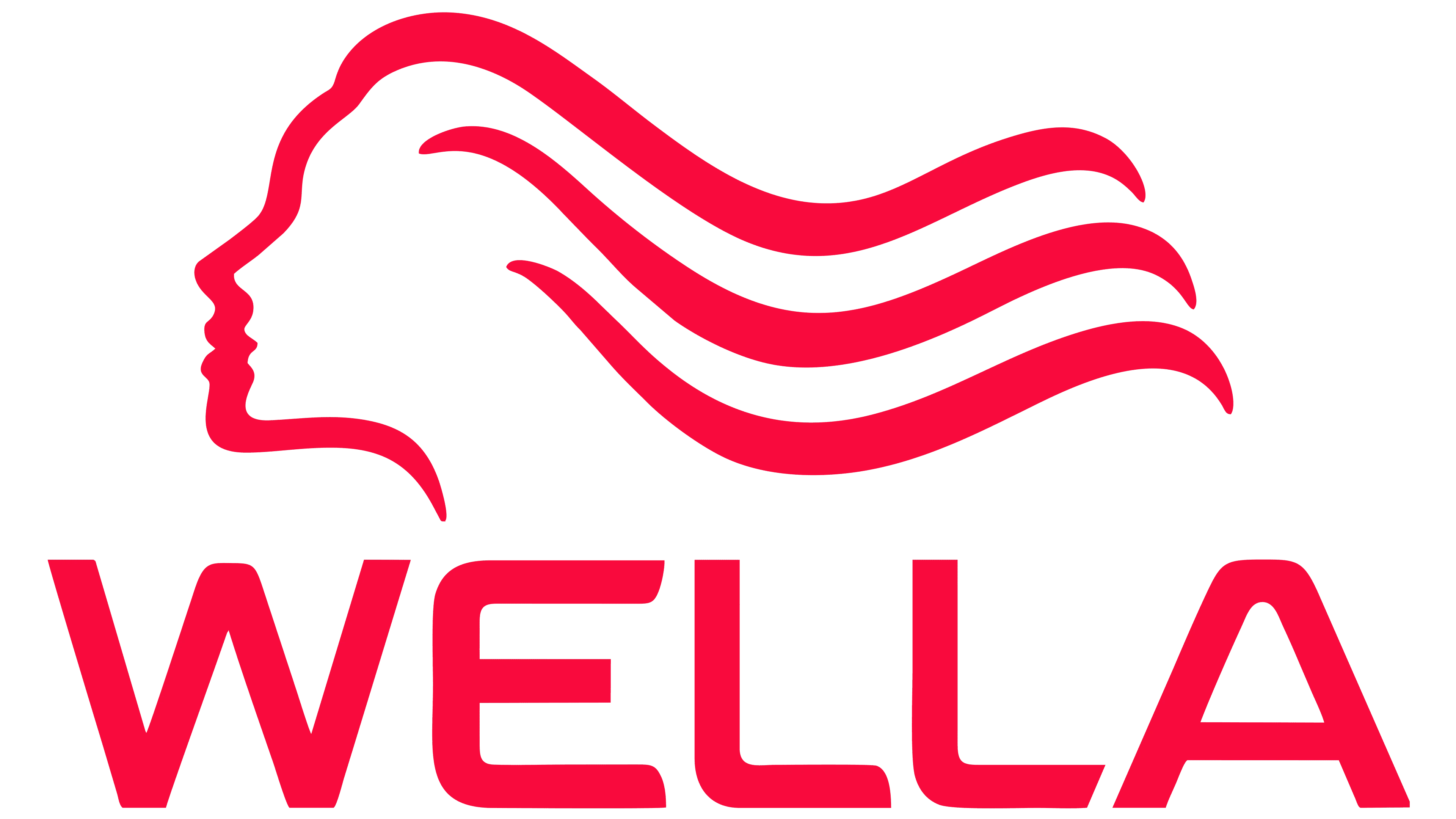 176-wella-logo-17593004629012.png