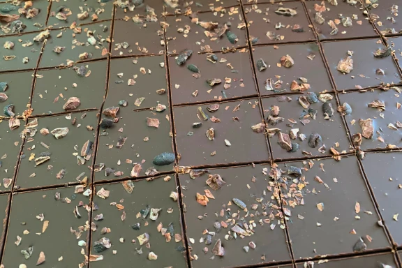 355-chips-nibs-17589731532562.png